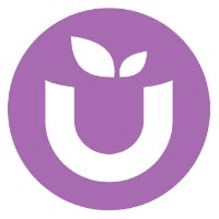 Ube Superfood